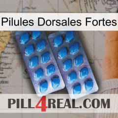 Strong Back Pills viagra2